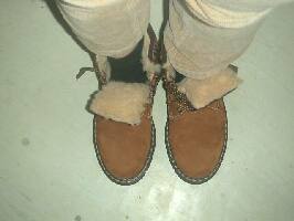 obr�zek: pict0005.jpg; rozli�en�: 266 � 200 px; velikost 7 kb;