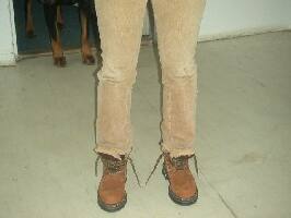 obr�zek: pict0006.jpg; rozli�en�: 266 � 200 px; velikost 6 kb;