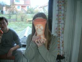 obr�zek: pict0013.jpg; rozli�en�: 266 � 200 px; velikost 9 kb;