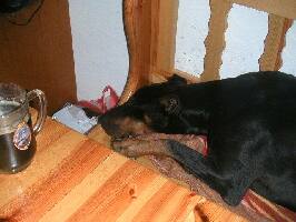 obr�zek: pict0008.jpg; rozli�en�: 266 � 200 px; velikost 10 kb;
