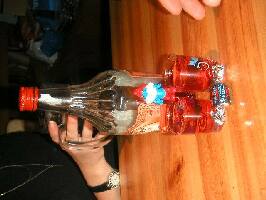 obr�zek: pict0011.jpg; rozli�en�: 266 � 200 px; velikost 10 kb;