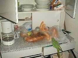 obr�zek: pict0012.jpg; rozli�en�: 266 � 200 px; velikost 13 kb;