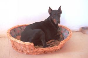 obr�zek: pict0013.jpg; rozli�en�: 300 � 200 px; velikost 7 kb;