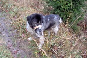 obr�zek: pict0001.jpg; rozli�en�: 300 � 200 px; velikost 18 kb;