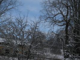 obr�zek: pict0009.jpg; rozli�en�: 266 � 200 px; velikost 13 kb;