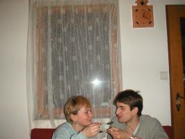 obr�zek: pict0003.jpg; rozli�en�: 266 � 200 px; velikost 8 kb;