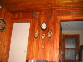obr�zek: pict0001.jpg; rozli�en�: 266 � 200 px; velikost 10 kb;