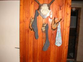 obr�zek: pict0002.jpg; rozli�en�: 266 � 200 px; velikost 10 kb;