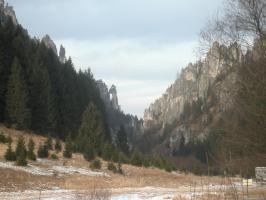obr�zek: pict0009.jpg; rozli�en�: 266 � 200 px; velikost 9 kb;