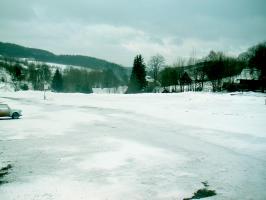 obr�zek: pict0001.jpg; rozli�en�: 266 � 200 px; velikost 8 kb;
