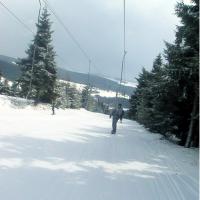 obr�zek: pict0009.jpg; rozli�en�: 200 � 200 px; velikost 7 kb;