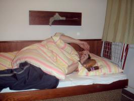 obr�zek: pict0029.jpg; rozli�en�: 266 � 200 px; velikost 9 kb;
