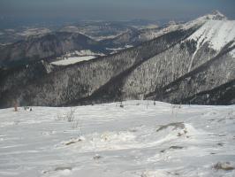 obr�zek: pict0039.jpg; rozli�en�: 266 � 200 px; velikost 10 kb;