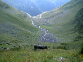 obr�zek: pict0013.jpg; rozli�en�: 266 � 200 px; velikost 10 kb;