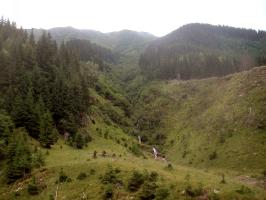 obr�zek: pict0003.jpg; rozli�en�: 266 � 200 px; velikost 9 kb;