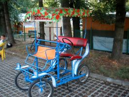 obr�zek: pict0008.jpg; rozli�en�: 266 � 200 px; velikost 16 kb;