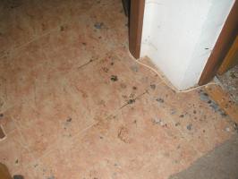 obr�zek: pict0040.jpg; rozli�en�: 266 � 200 px; velikost 8 kb;