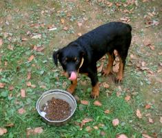 obr�zek: pict0074.jpg; rozli�en�: 235 � 200 px; velikost 14 kb;