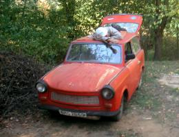 obr�zek: pict0006.jpg; rozli�en�: 260 � 200 px; velikost 13 kb;