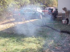 obr�zek: pict0012.jpg; rozli�en�: 266 � 200 px; velikost 13 kb;