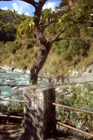 obr�zek: pict0005.jpg; rozli�en�: 133 � 200 px; velikost 9 kb;
