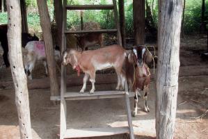obr�zek: pict0017.jpg; rozli�en�: 299 � 200 px; velikost 14 kb;