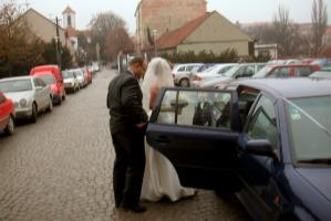 obr�zek: pict0002.jpg; rozli�en�: 299 � 200 px; velikost 11 kb;