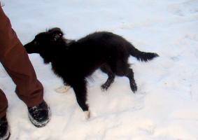obr�zek: pict0001.jpg; rozli�en�: 283 � 200 px; velikost 7 kb;