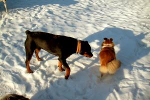 obr�zek: pict0006.jpg; rozli�en�: 300 � 200 px; velikost 14 kb;