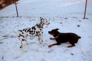 obr�zek: pict0021.jpg; rozli�en�: 299 � 200 px; velikost 12 kb;