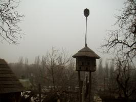 obr�zek: pict0017.jpg; rozli�en�: 266 � 200 px; velikost 9 kb;