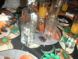 obr�zek: pict0030.jpg; rozli�en�: 266 � 200 px; velikost 14 kb;