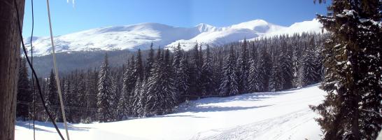 obr�zek: pict0046.jpg; rozli�en�: 546 � 200 px; velikost 25 kb;