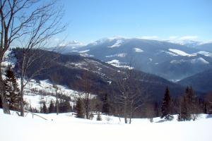 obr�zek: pict0127.jpg; rozli�en�: 300 � 200 px; velikost 11 kb;