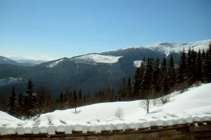 obr�zek: pict0137.jpg; rozli�en�: 300 � 200 px; velikost 9 kb;