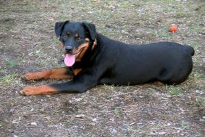obr�zek: pict0021.jpg; rozli�en�: 300 � 200 px; velikost 16 kb;
