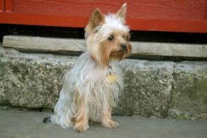 obr�zek: pict0014.jpg; rozli�en�: 300 � 200 px; velikost 12 kb;