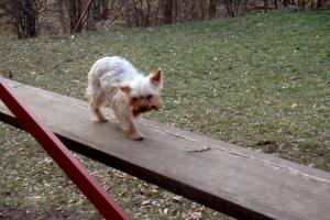obr�zek: pict0022.jpg; rozli�en�: 300 � 200 px; velikost 15 kb;