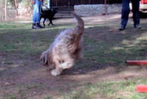 obr�zek: pict0003.jpg; rozli�en�: 296 � 200 px; velikost 12 kb;
