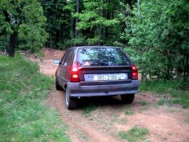 obr�zek: pict0064.jpg; rozli�en�: 266 � 200 px; velikost 15 kb;
