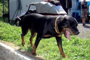 obr�zek: pict0018.jpg; rozli�en�: 299 � 200 px; velikost 18 kb;