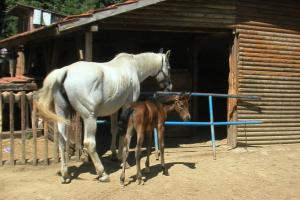obr�zek: pict0048.jpg; rozli�en�: 300 � 200 px; velikost 14 kb;