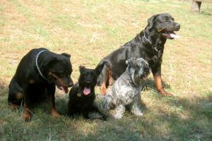obr�zek: pict0012.jpg; rozli�en�: 300 � 200 px; velikost 14 kb;