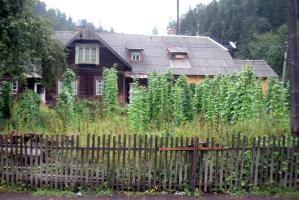obr�zek: pict0025.jpg; rozli�en�: 299 � 200 px; velikost 17 kb;
