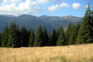 obr�zek: pict0051.jpg; rozli�en�: 300 � 200 px; velikost 11 kb;