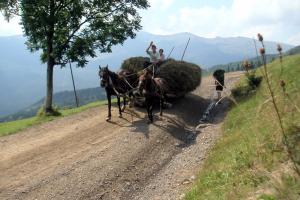 obr�zek: pict0010.jpg; rozli�en�: 300 � 200 px; velikost 14 kb;