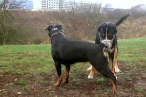 obr�zek: pict0002.jpg; rozli�en�: 299 � 200 px; velikost 13 kb;