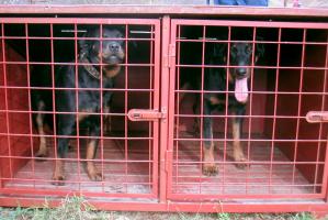 obr�zek: pict0001.jpg; rozli�en�: 299 � 200 px; velikost 16 kb;