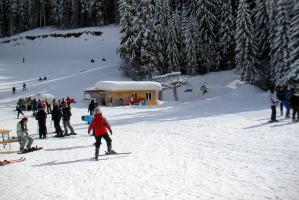 obr�zek: pict0002.jpg; rozli�en�: 299 � 200 px; velikost 14 kb;