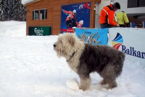 obr�zek: pict0024.jpg; rozli�en�: 299 � 200 px; velikost 12 kb;